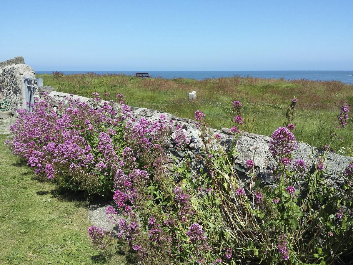 Villa Angorfa, Cemaes Bay Esterno foto